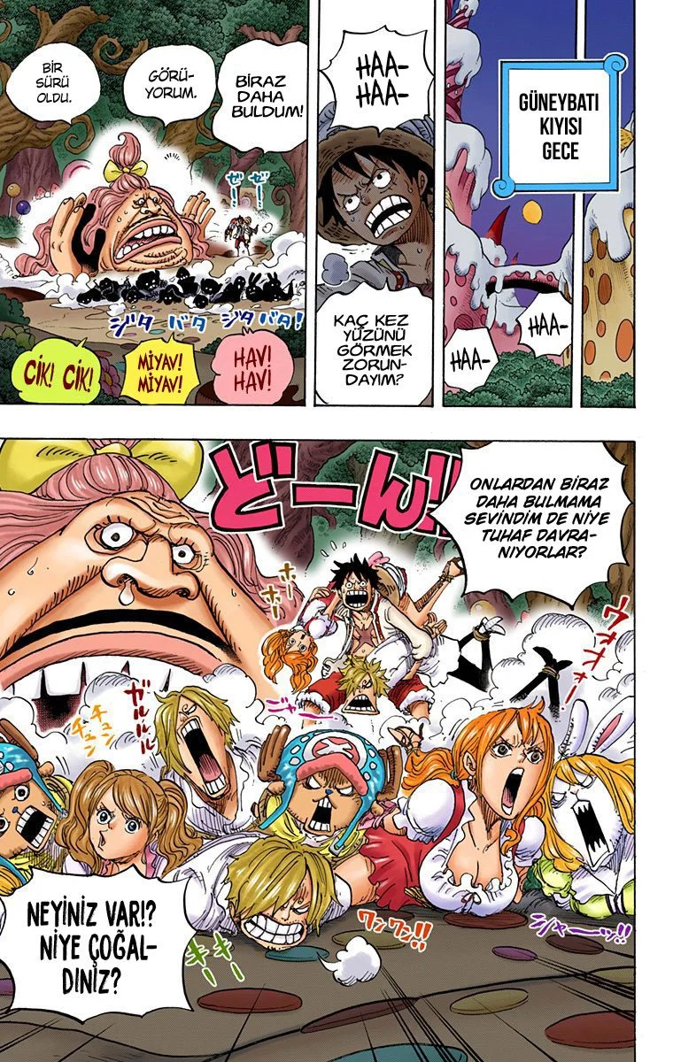 One Piece - Bölüm 834 - Sayfa 17