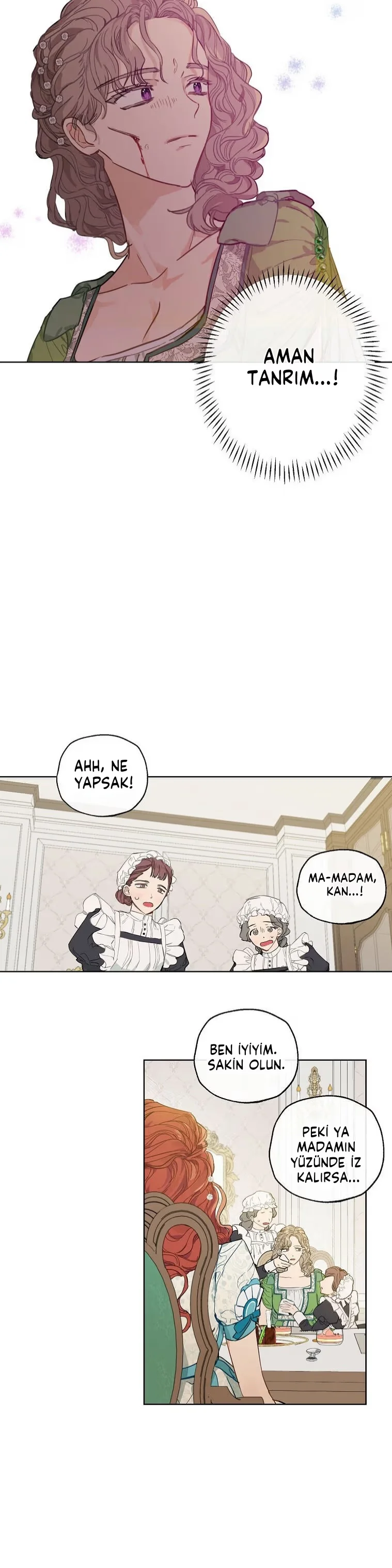 When The Count's Illegitimate Daughter Gets Married - Bölüm 2 - Sayfa 12