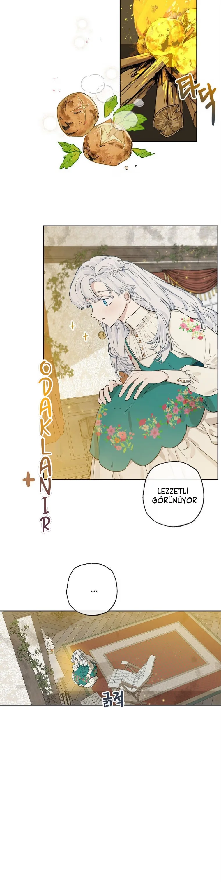 When The Count's Illegitimate Daughter Gets Married - Bölüm 2 - Sayfa 27
