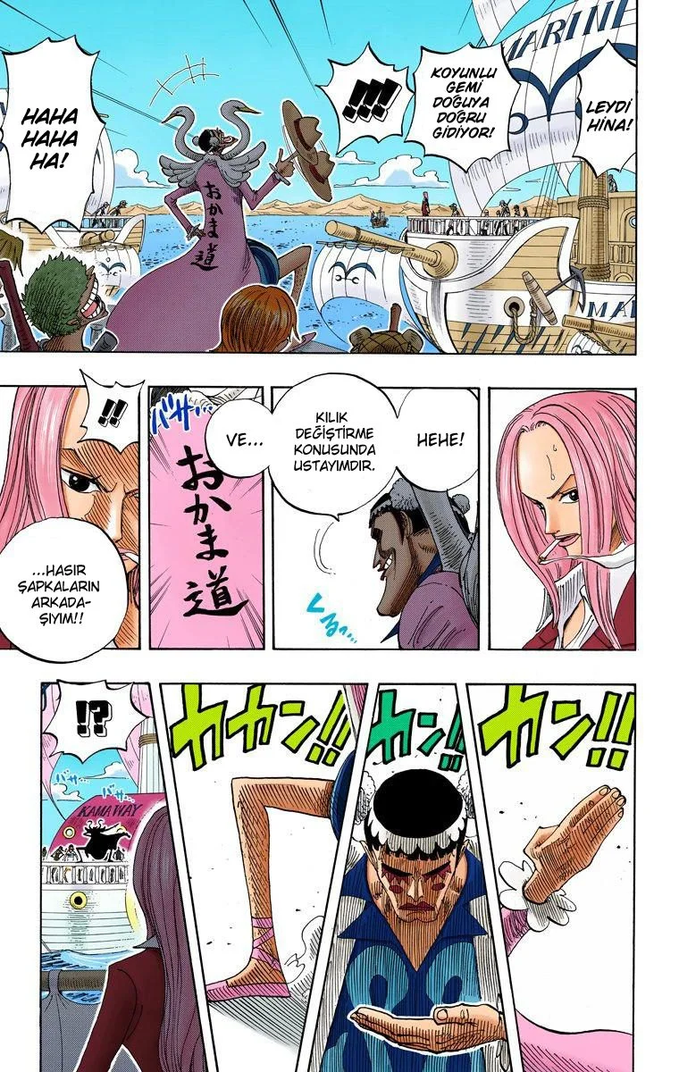 One Piece - Bölüm 215 - Sayfa 17
