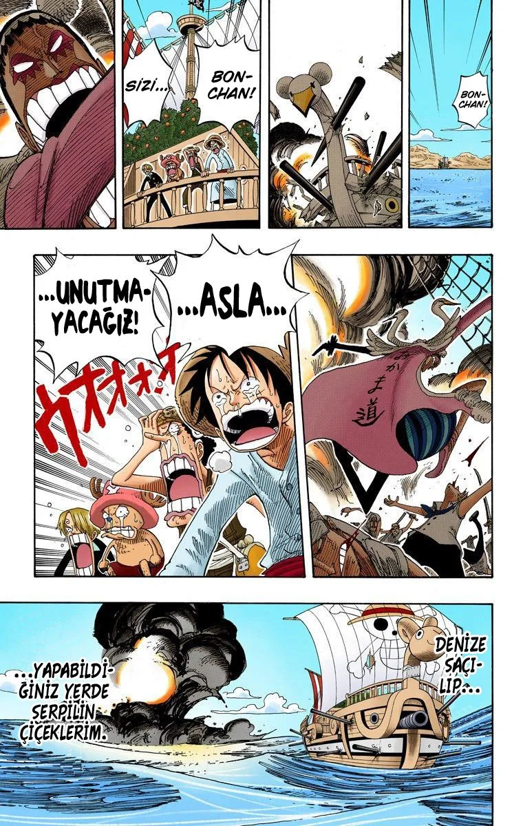 One Piece - Bölüm 215 - Sayfa 19