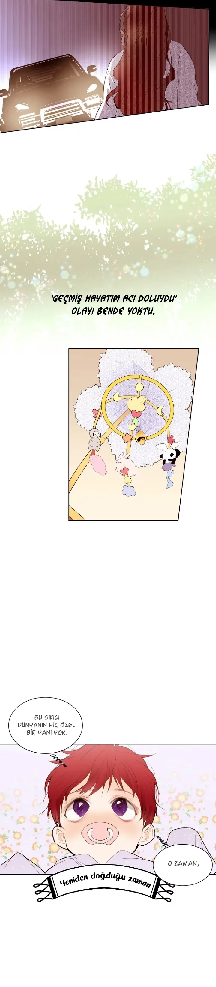 The Stereotypical Life of a Reincarnated Lady - Bölüm 1 - Sayfa 5