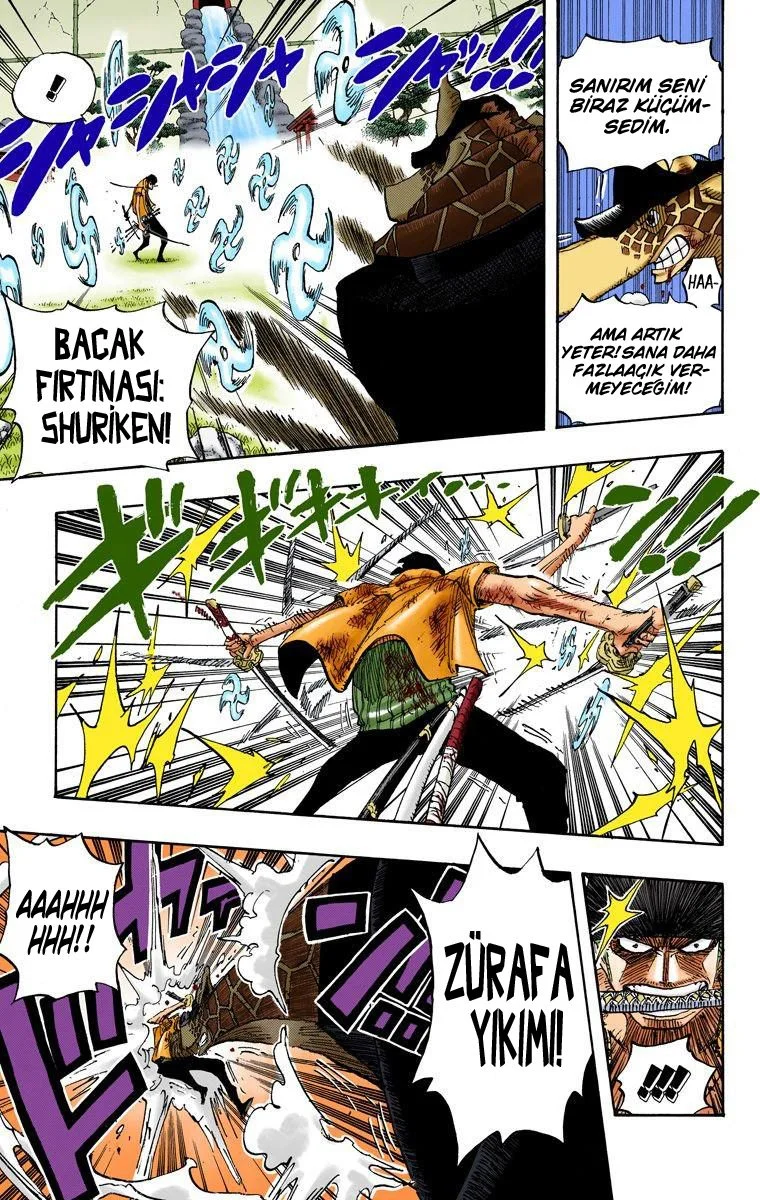 One Piece - Bölüm 417 - Sayfa 13