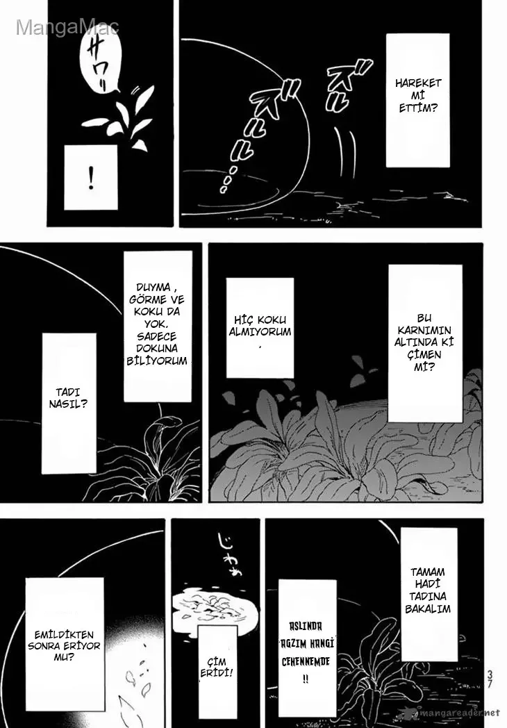 That Time I Got Reincarnated as a Slime - Bölüm 1 - Sayfa 14