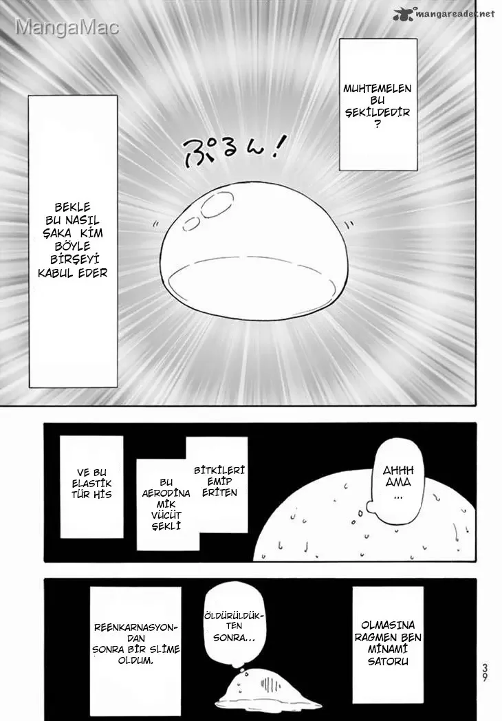 That Time I Got Reincarnated as a Slime - Bölüm 1 - Sayfa 16