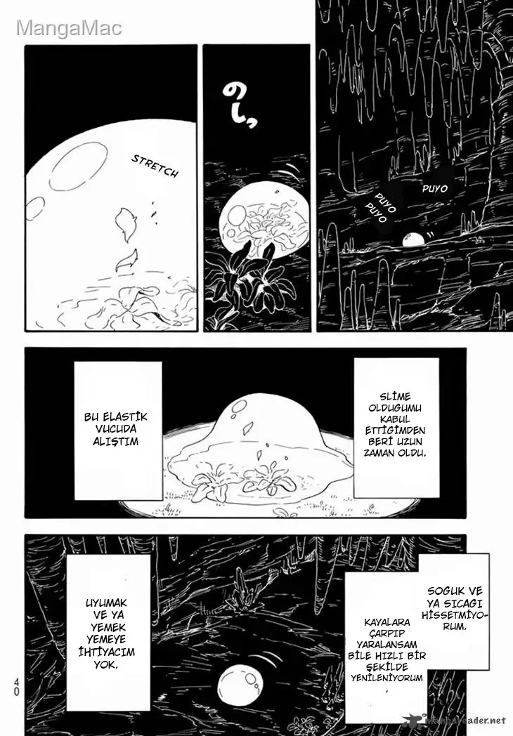 That Time I Got Reincarnated as a Slime - Bölüm 1 - Sayfa 17
