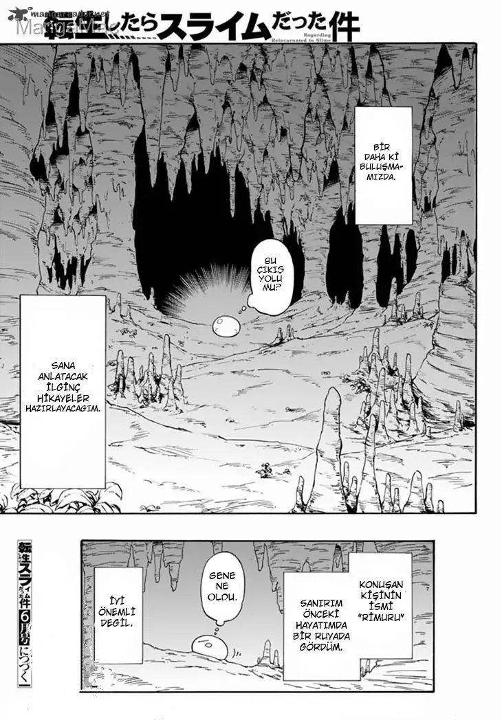 That Time I Got Reincarnated as a Slime - Bölüm 1 - Sayfa 45