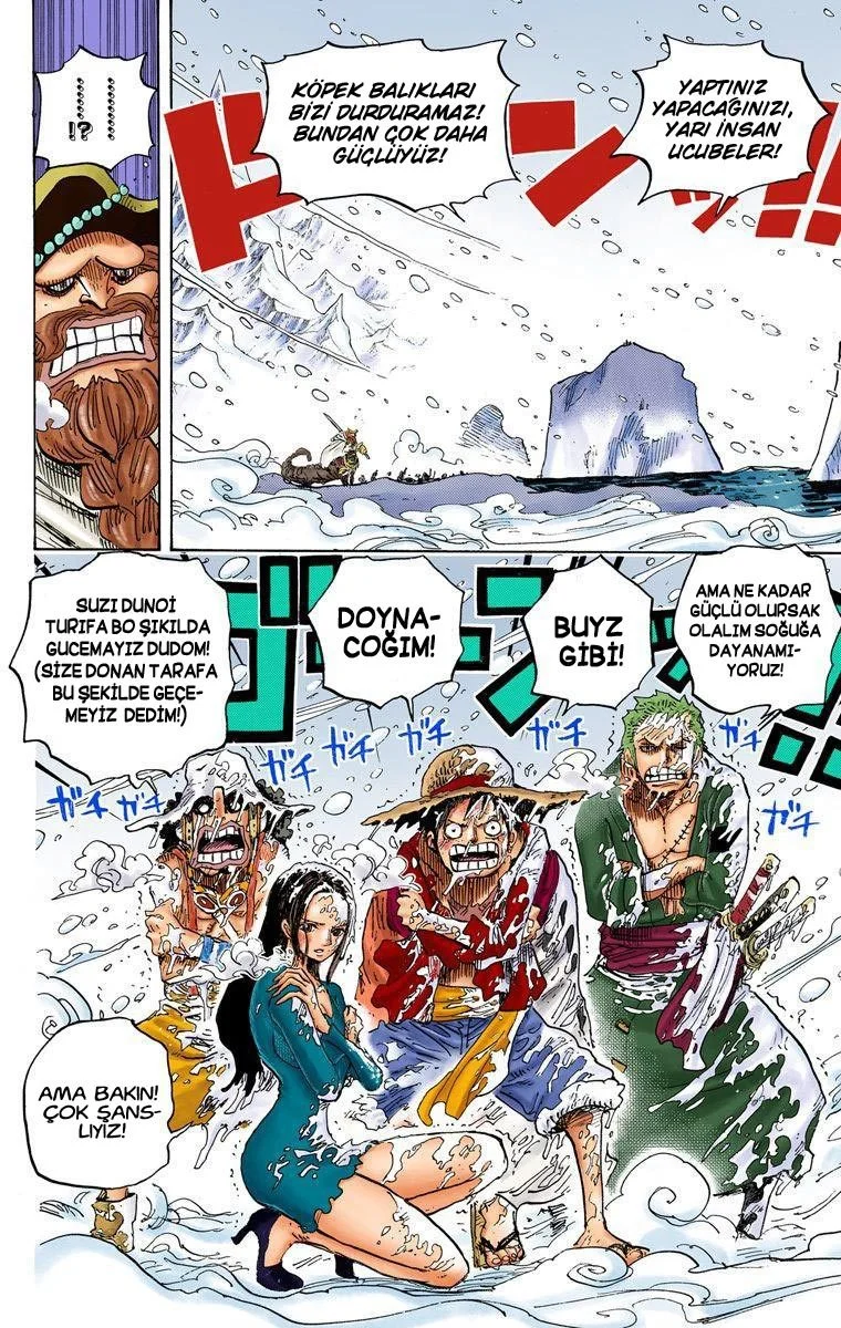 One Piece - Bölüm 661 - Sayfa 10