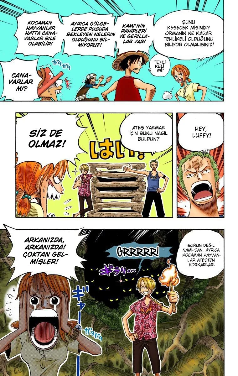 One Piece - Bölüm 253 - Sayfa 13