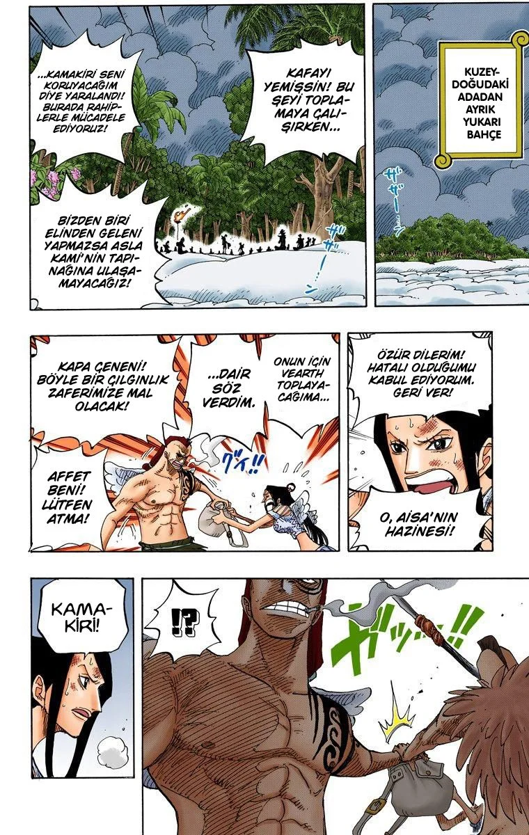 One Piece - Bölüm 253 - Sayfa 17