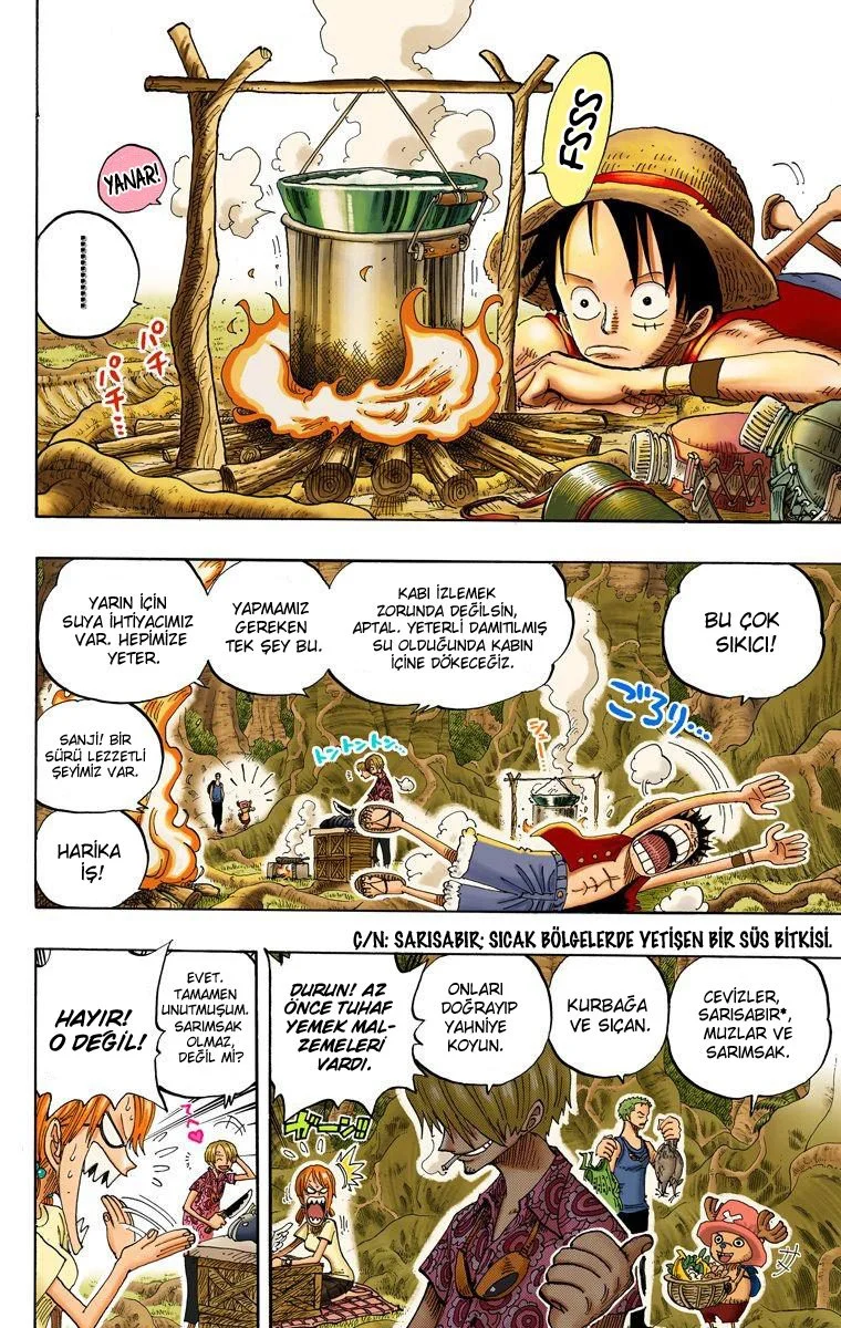 One Piece - Bölüm 253 - Sayfa 4