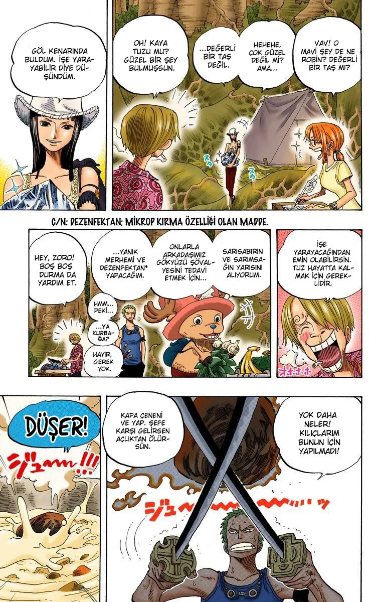 One Piece - Bölüm 253 - Sayfa 5