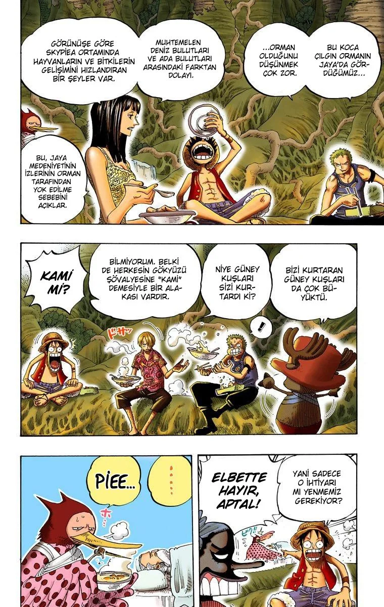 One Piece - Bölüm 253 - Sayfa 8