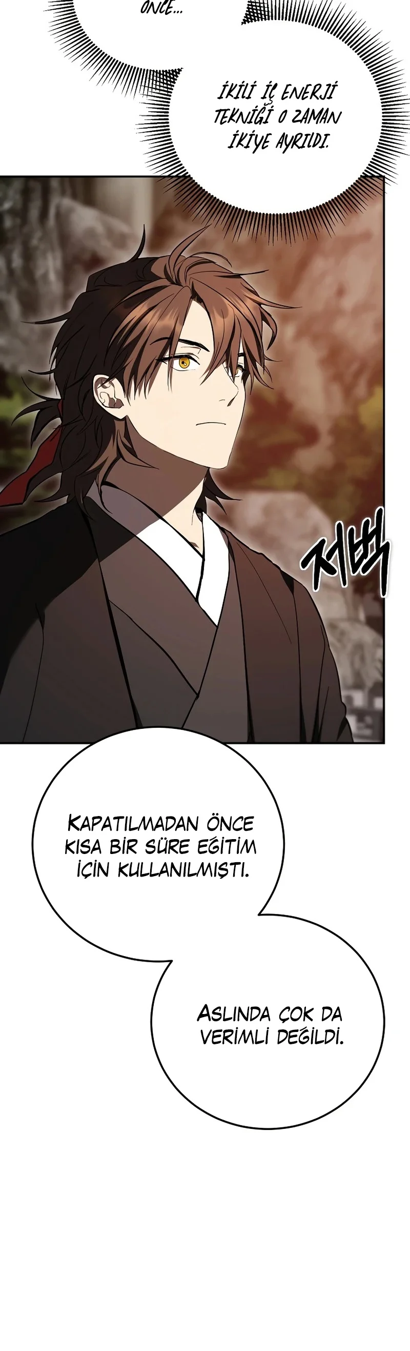 Wandering Warrior of Wudang - Bölüm 158 - Sayfa 8