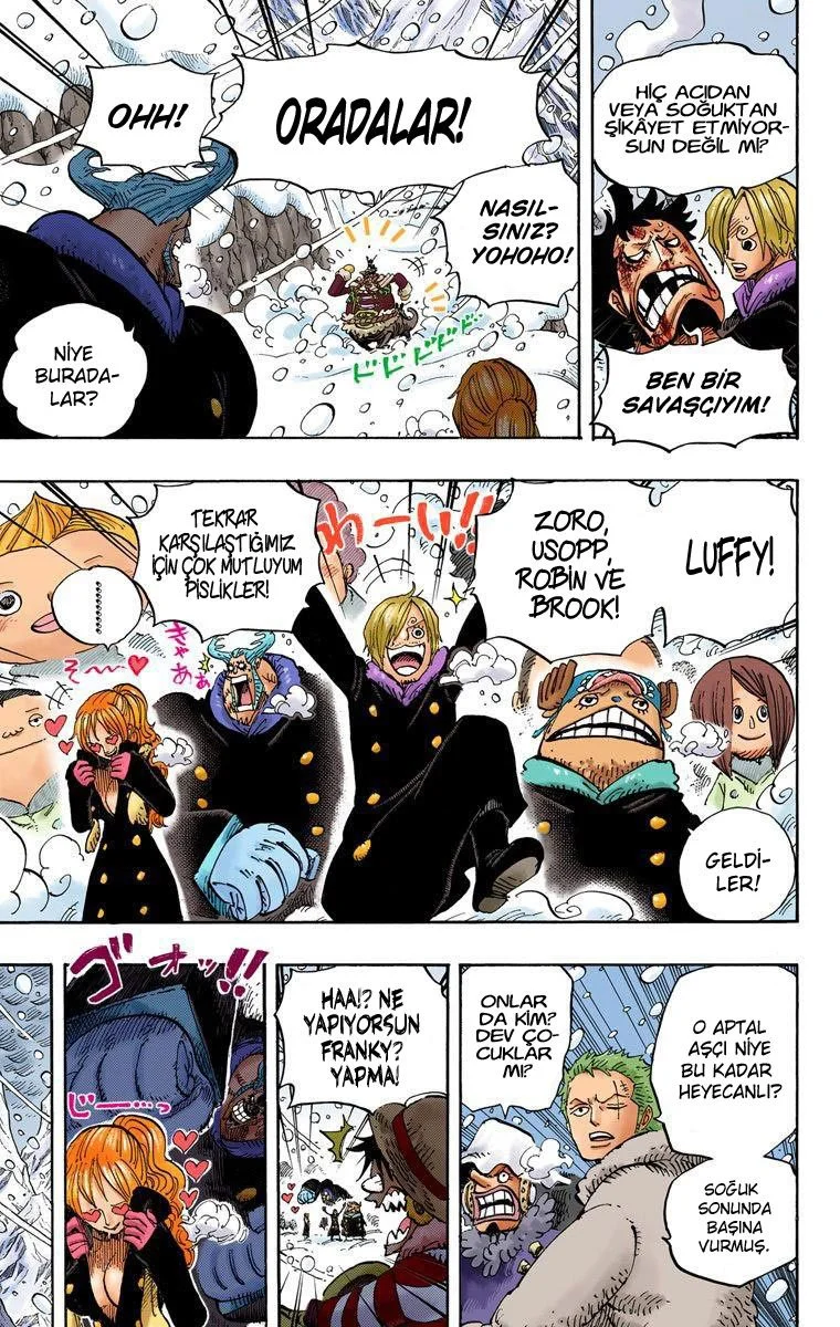 One Piece - Bölüm 663 - Sayfa 13
