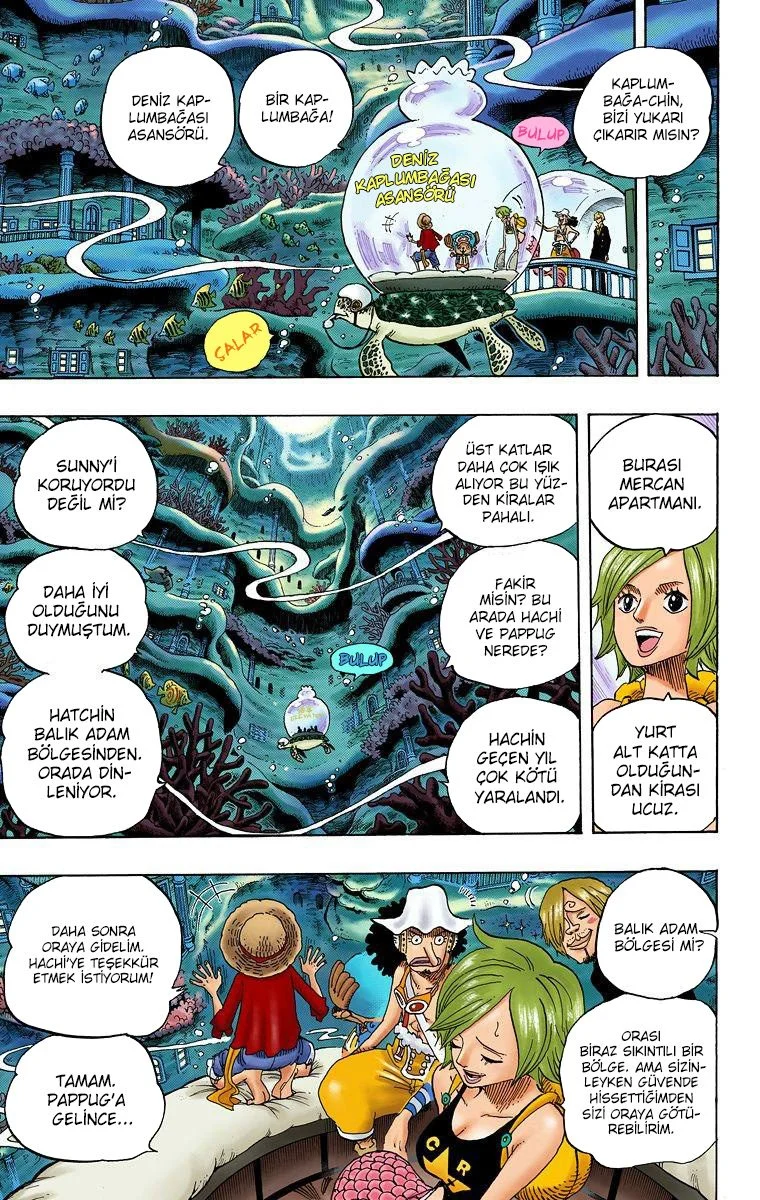 One Piece - Bölüm 608 - Sayfa 13