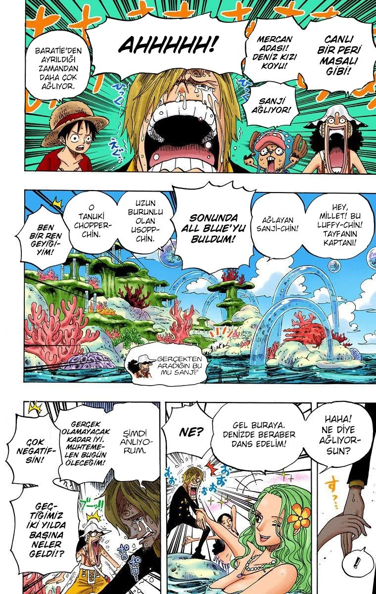 One Piece - Bölüm 608 - Sayfa 15
