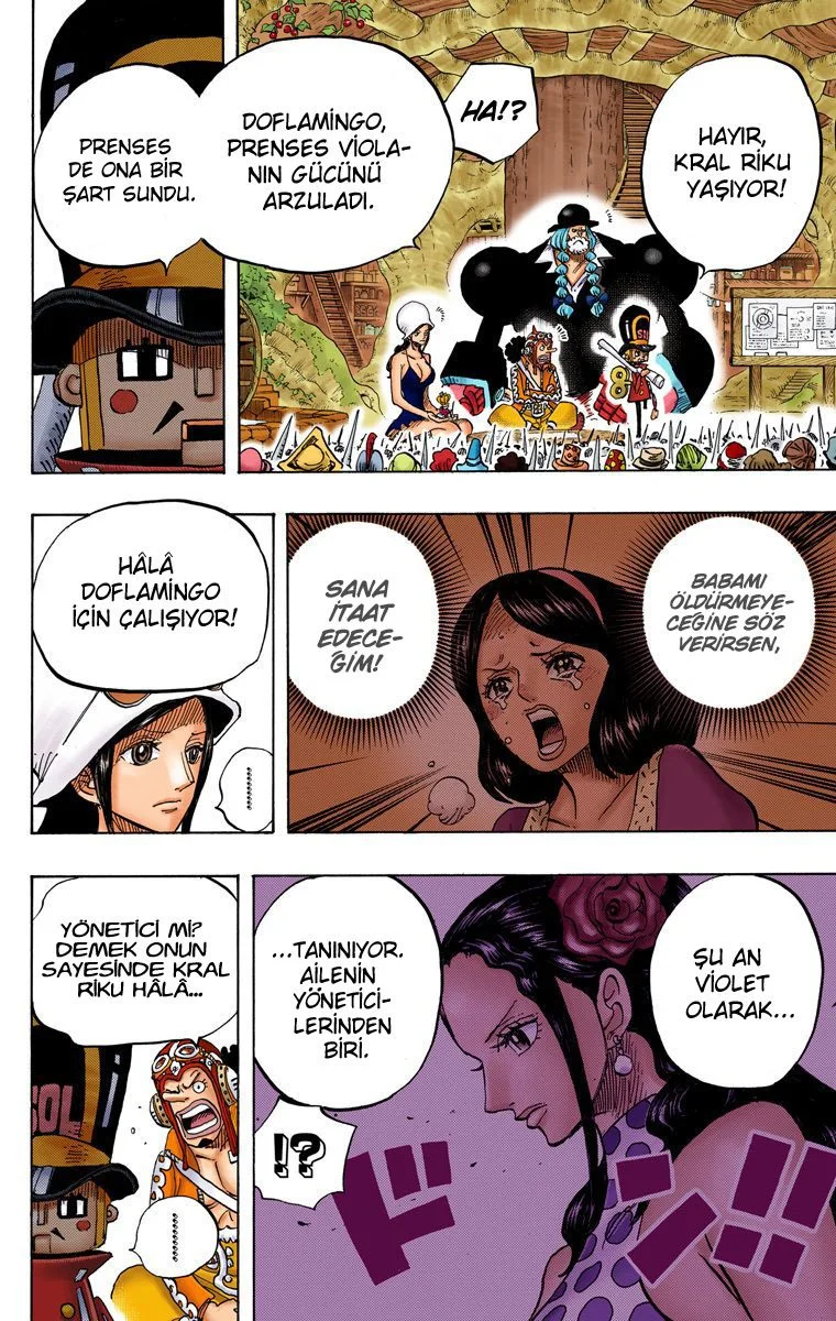 One Piece - Bölüm 728 - Sayfa 10