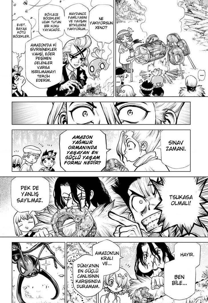 Dr. Stone - Bölüm 180 - Sayfa 6