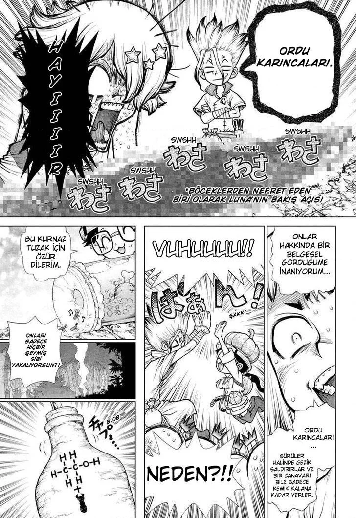 Dr. Stone - Bölüm 180 - Sayfa 7