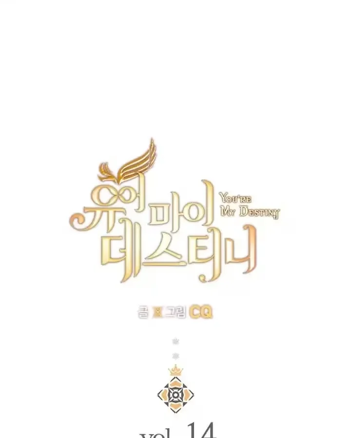 You Are My Destiny - Bölüm 14 - Sayfa 14