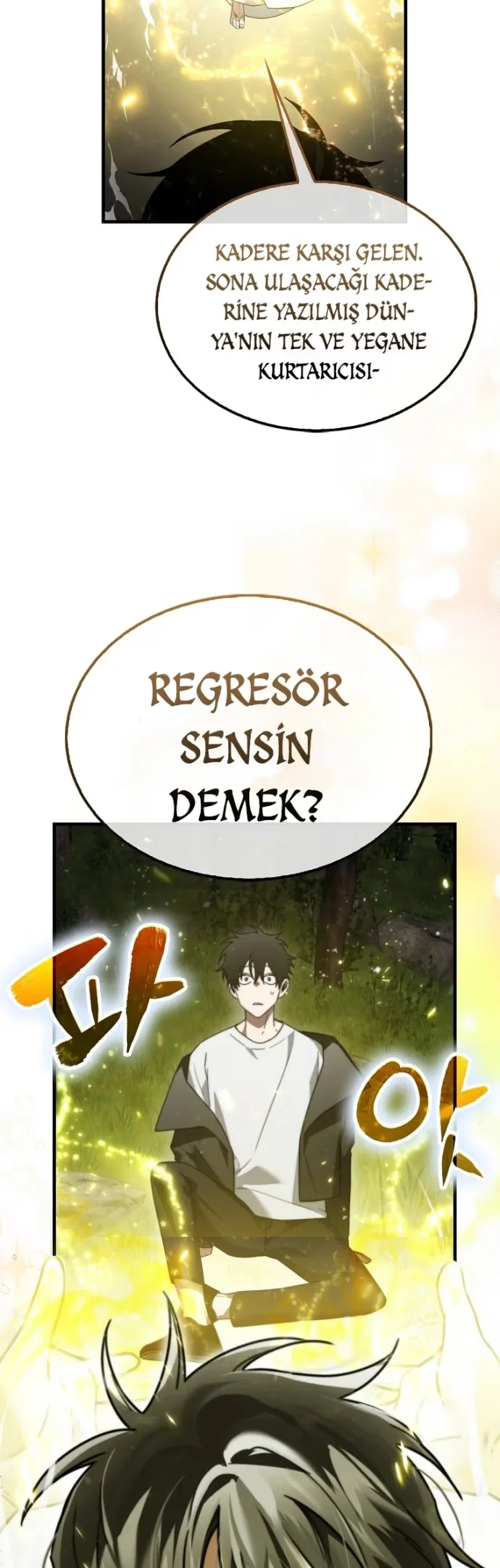 I Am Not a Regressor - Bölüm 1 - Sayfa 70