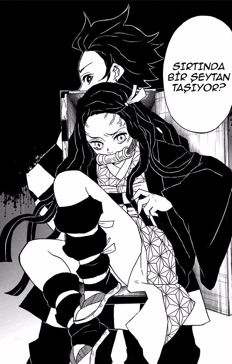 Demon Slayer: Kimetsu no Yaiba - Bölüm 11 - Sayfa 17