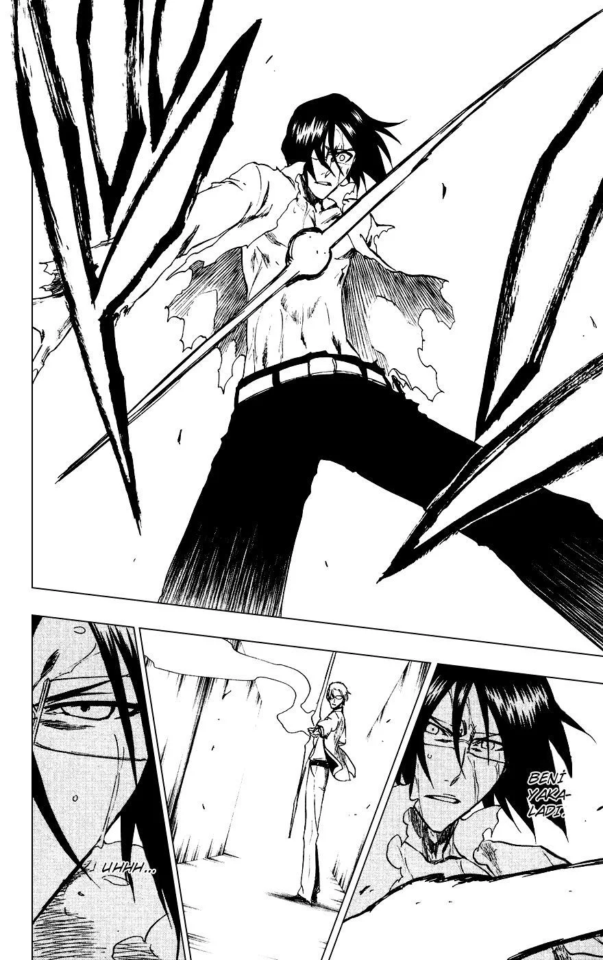 Bleach - Bölüm 226 - Sayfa 14