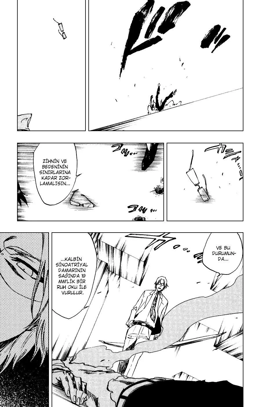 Bleach - Bölüm 226 - Sayfa 15