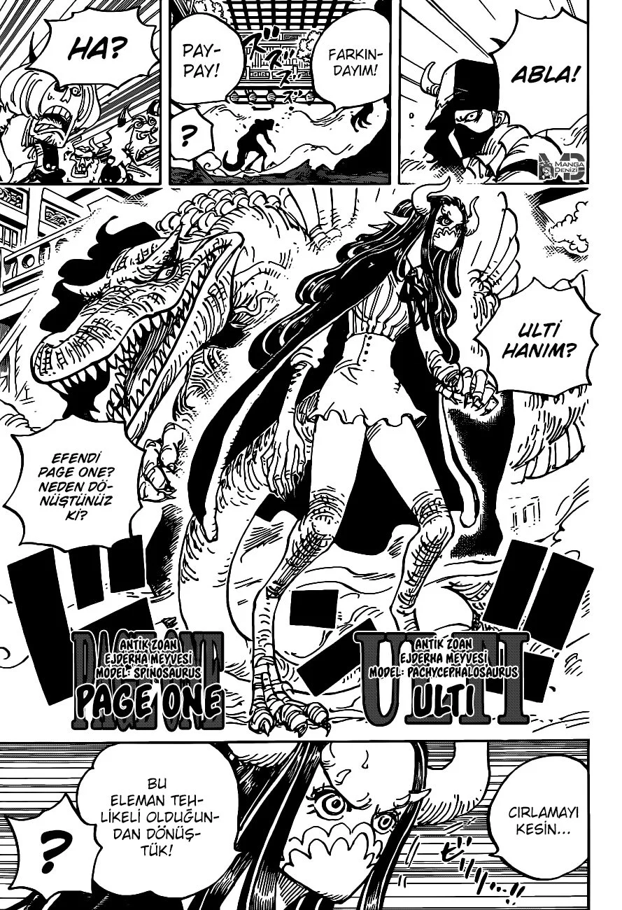 One Piece - Bölüm 983 - Sayfa 11