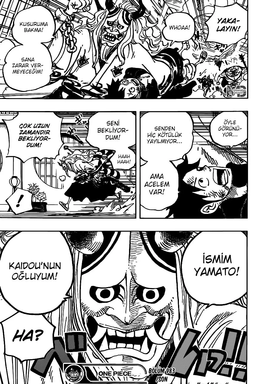 One Piece - Bölüm 983 - Sayfa 17