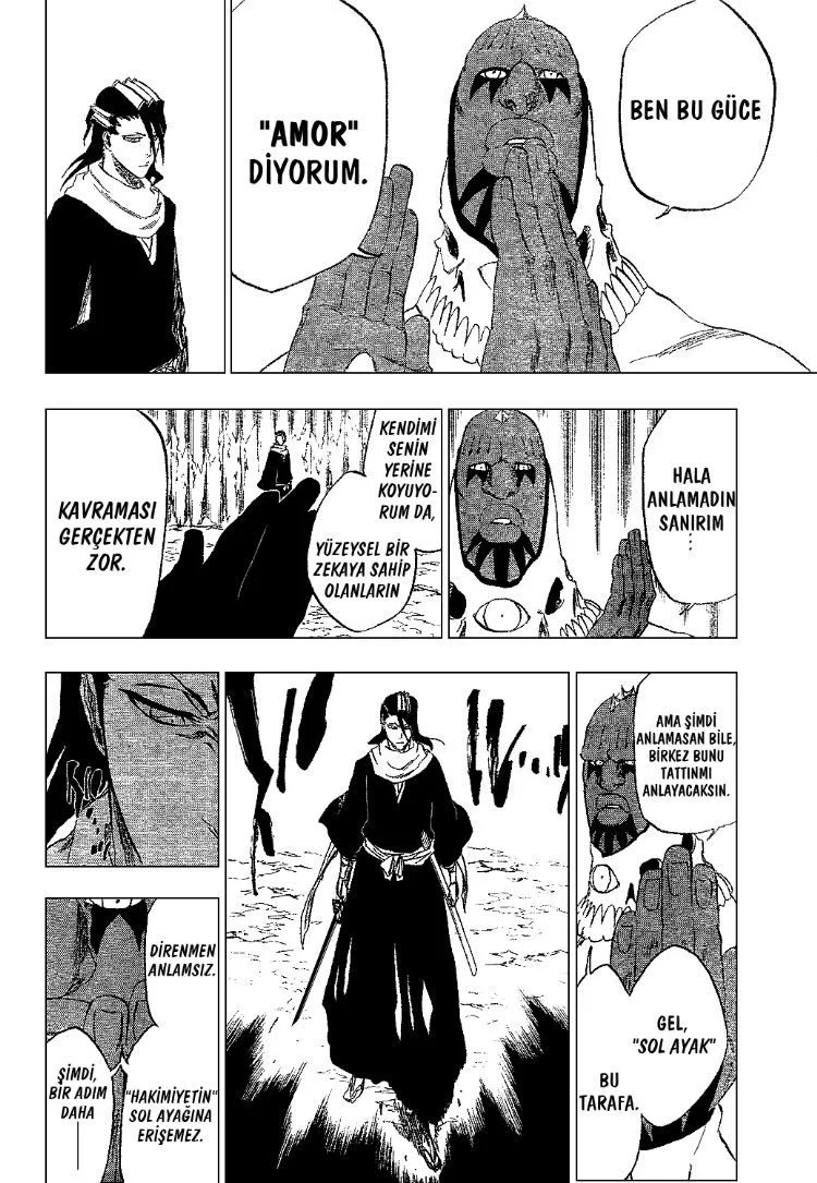 Bleach - Bölüm 300 - Sayfa 13