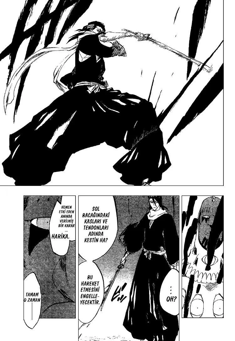 Bleach - Bölüm 300 - Sayfa 14