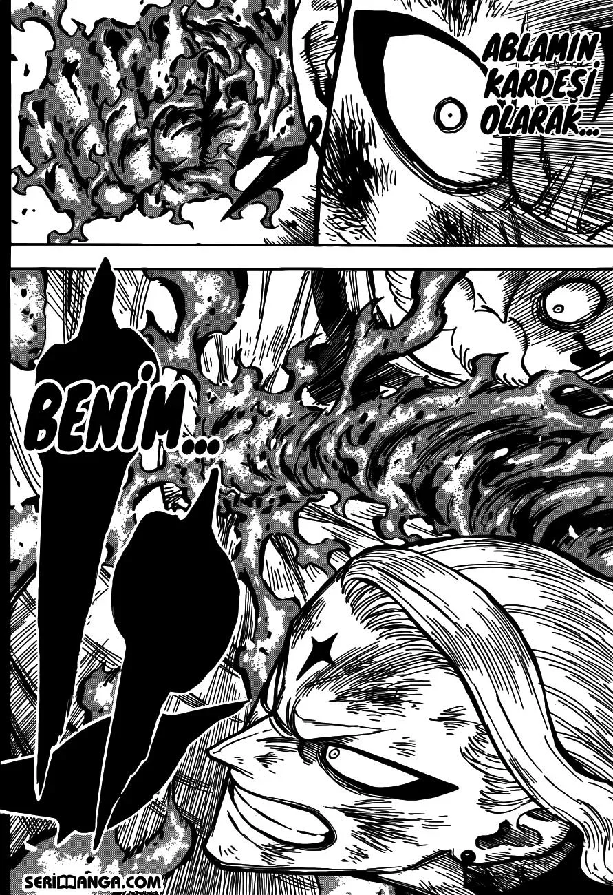 Black Clover - Bölüm 192 - Sayfa 14