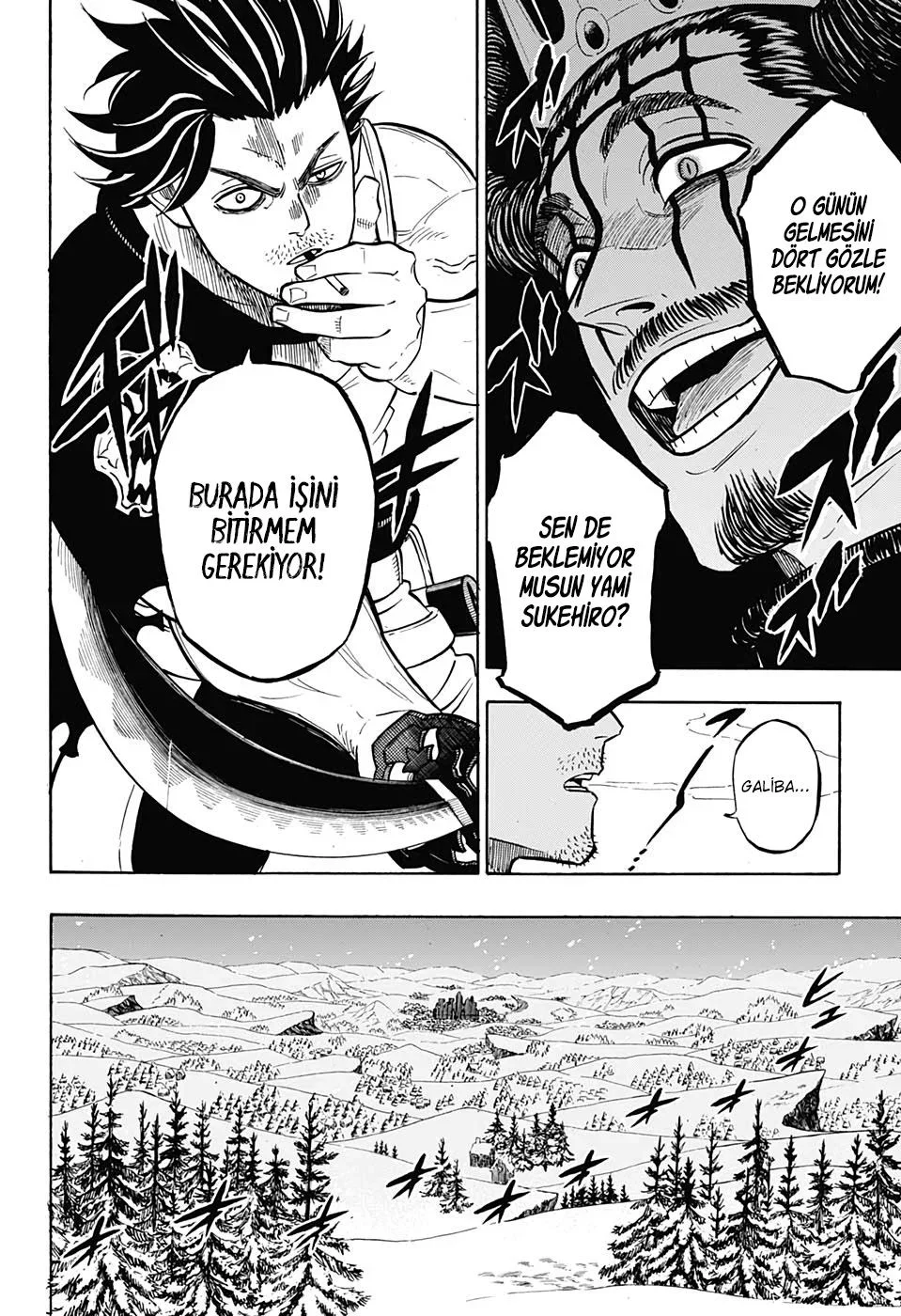 Black Clover - Bölüm 246 - Sayfa 11