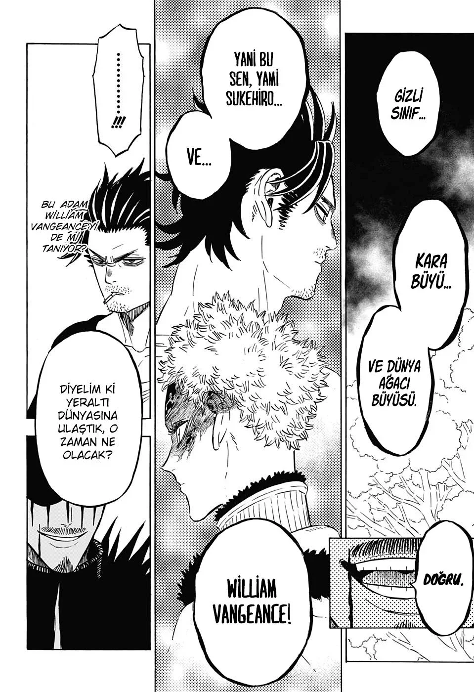 Black Clover - Bölüm 246 - Sayfa 9