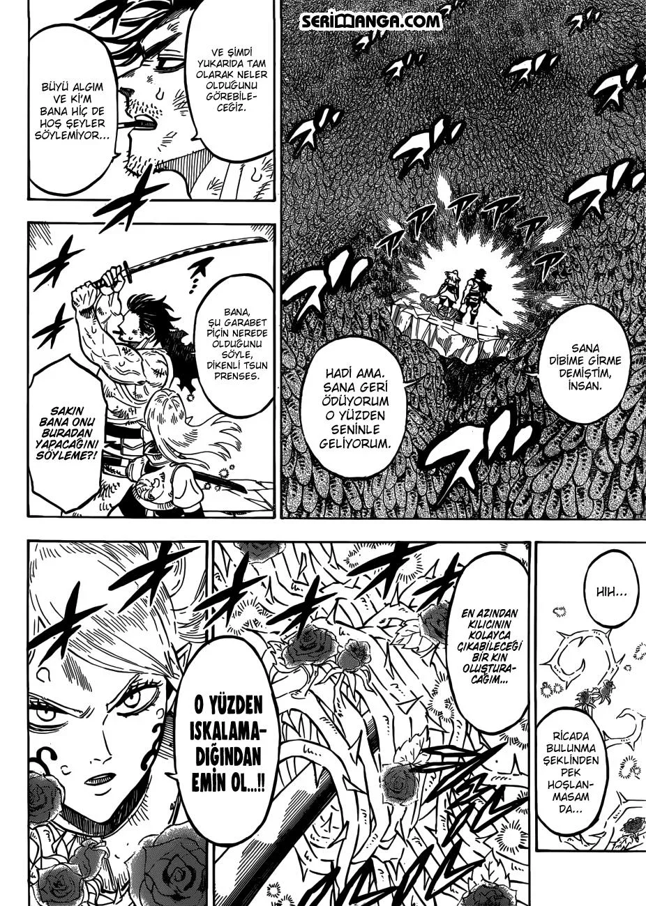 Black Clover - Bölüm 210 - Sayfa 15