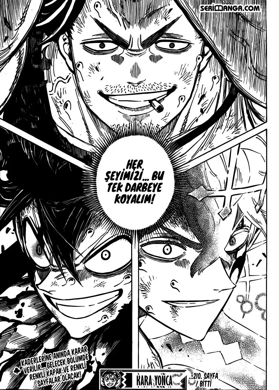 Black Clover - Bölüm 210 - Sayfa 16