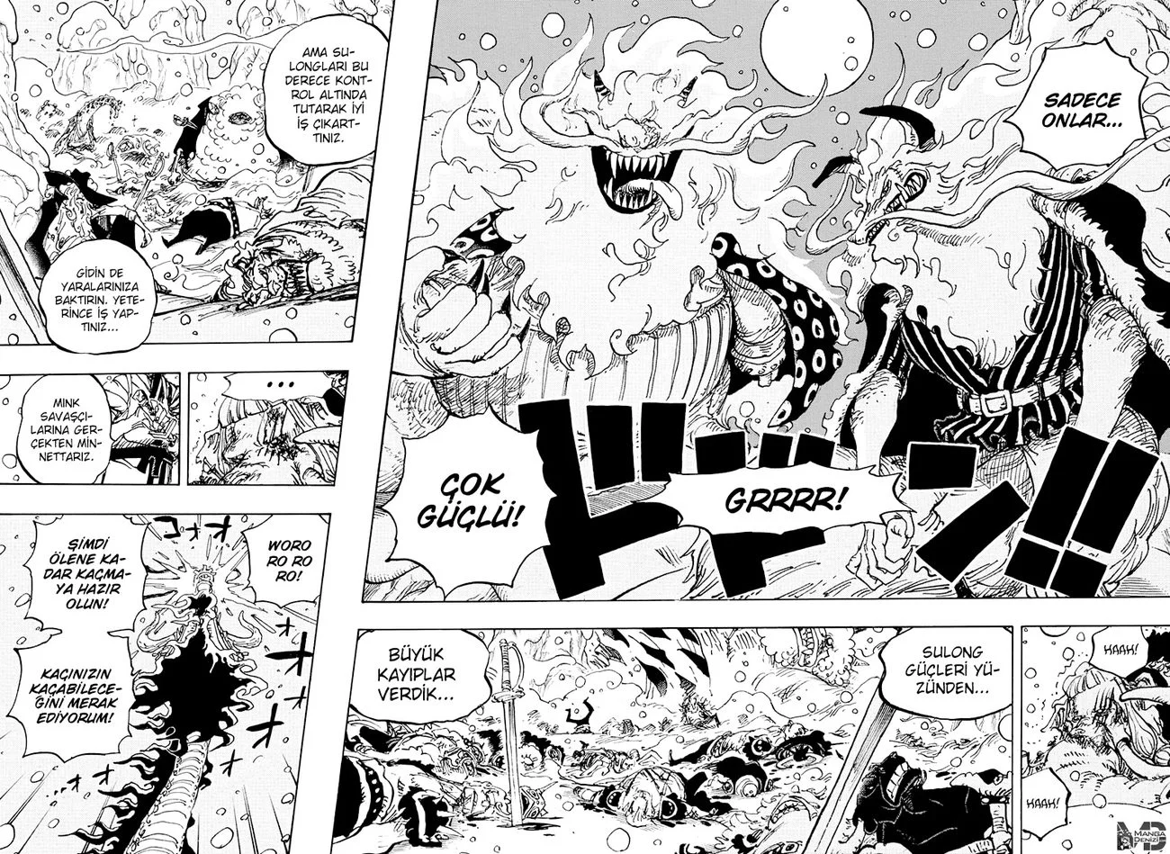 One Piece - Bölüm 991 - Sayfa 14