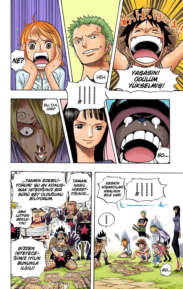 One Piece - Bölüm 435 - Sayfa 17