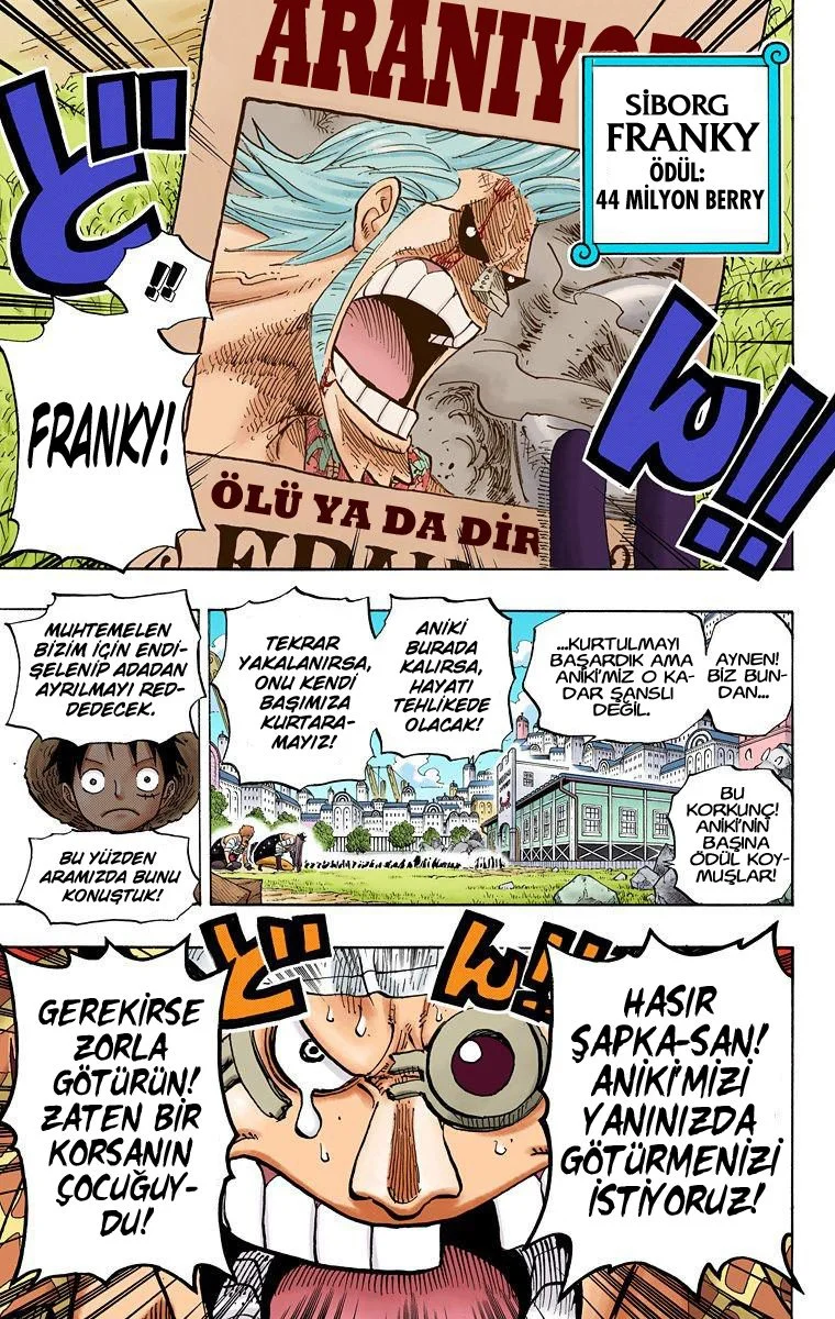 One Piece - Bölüm 435 - Sayfa 18