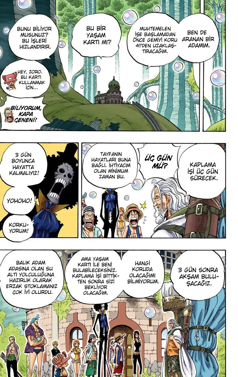 One Piece - Bölüm 507 - Sayfa 10