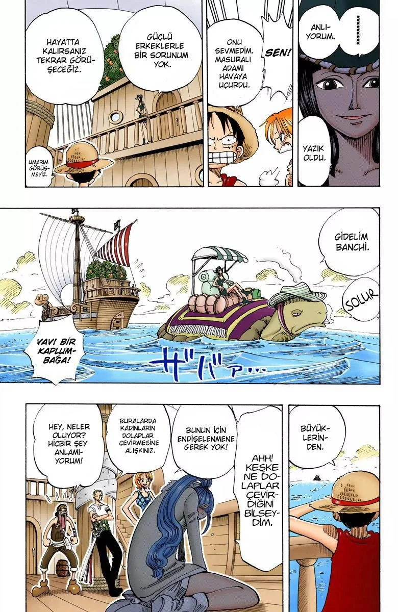 One Piece - Bölüm 114 - Sayfa 17