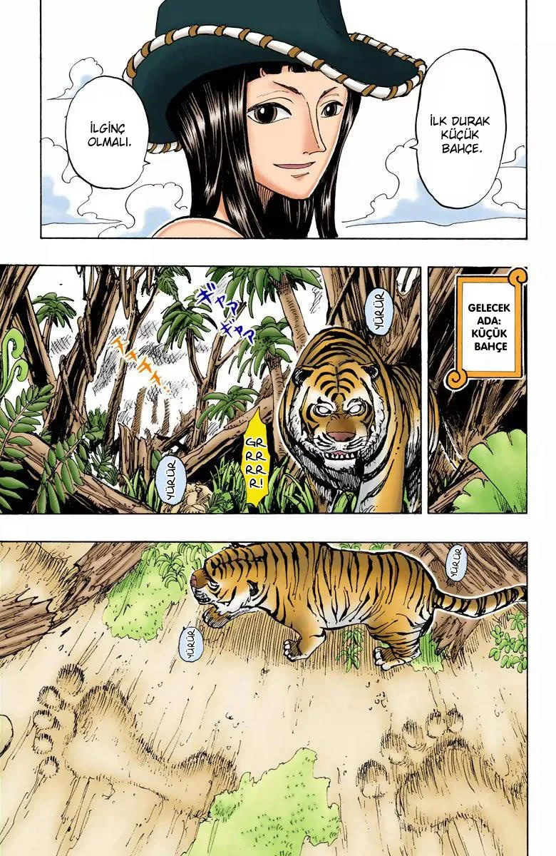 One Piece - Bölüm 114 - Sayfa 19