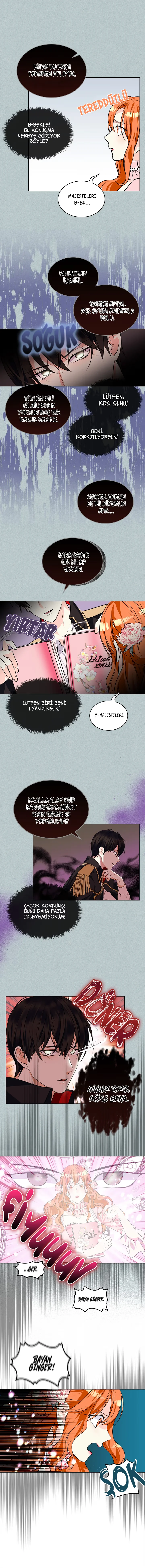 Ginger and the Cursed Prince - Bölüm 22 - Sayfa 5