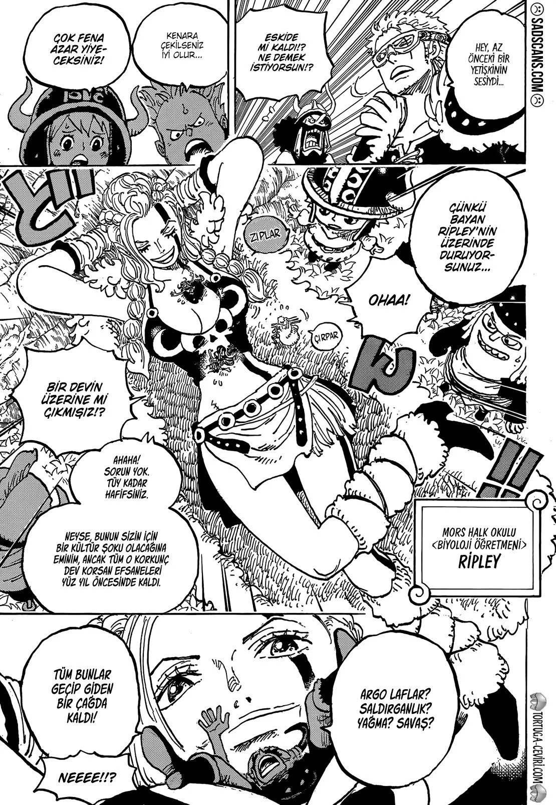 One Piece - Bölüm 1134 - Sayfa 11