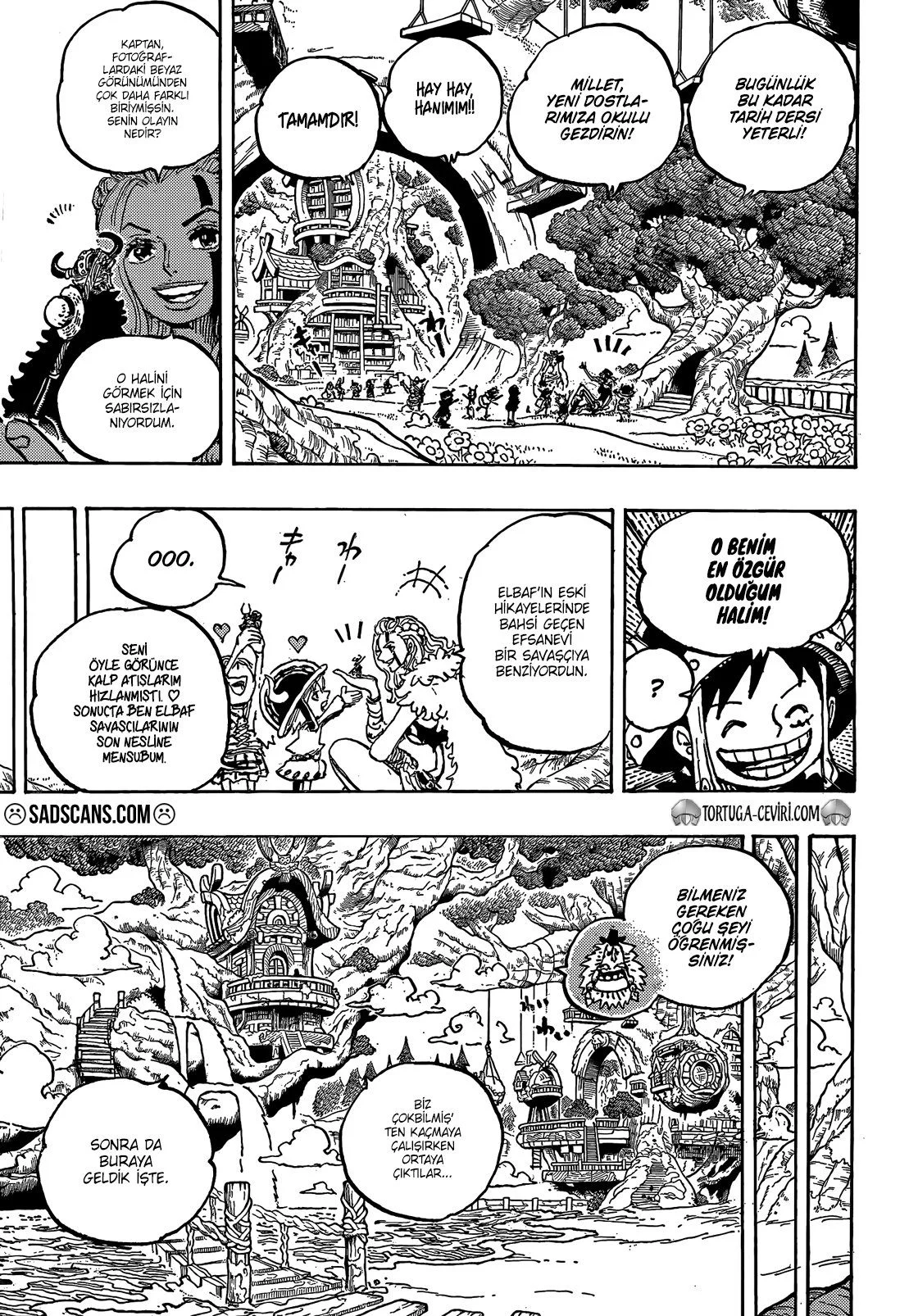 One Piece - Bölüm 1134 - Sayfa 13