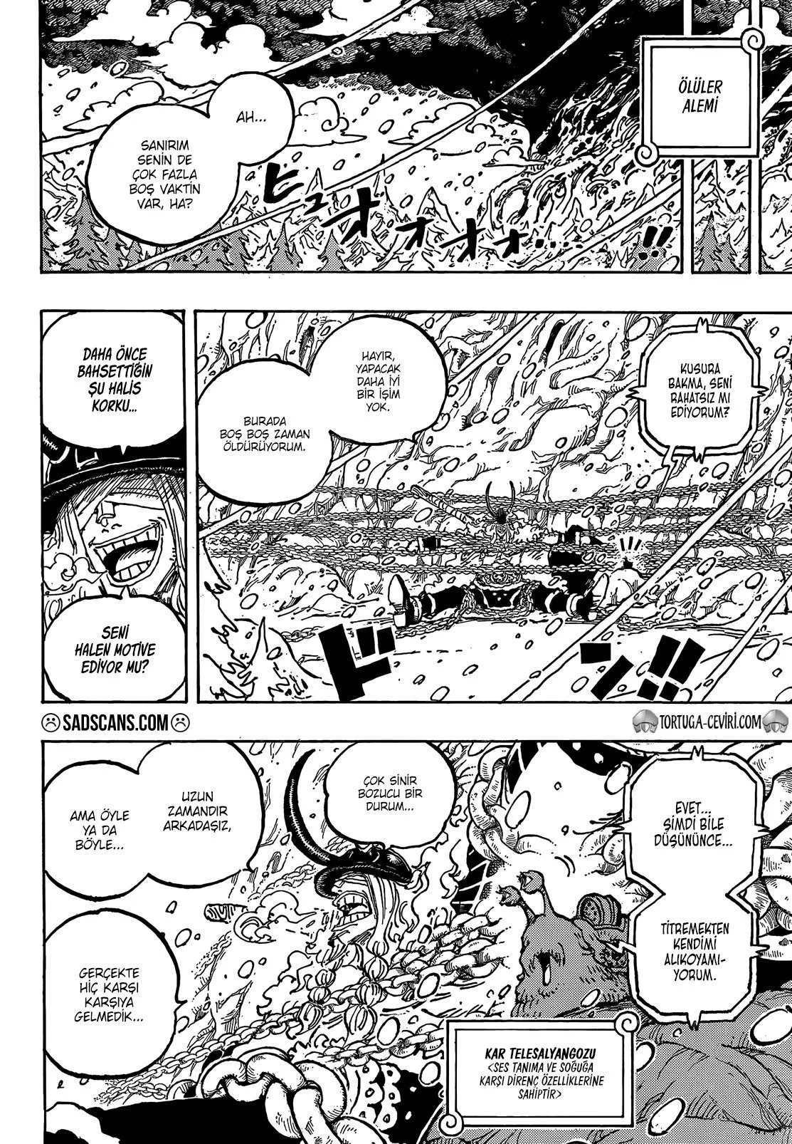 One Piece - Bölüm 1134 - Sayfa 15