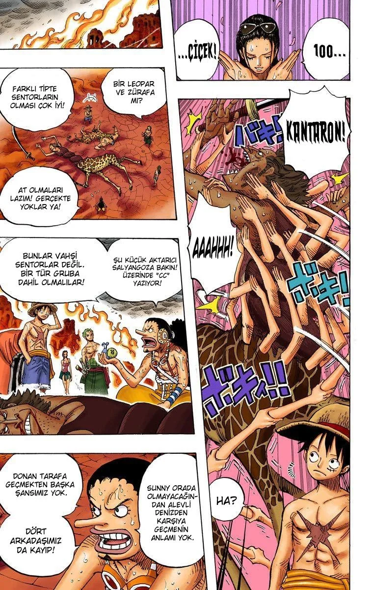 One Piece - Bölüm 658 - Sayfa 17