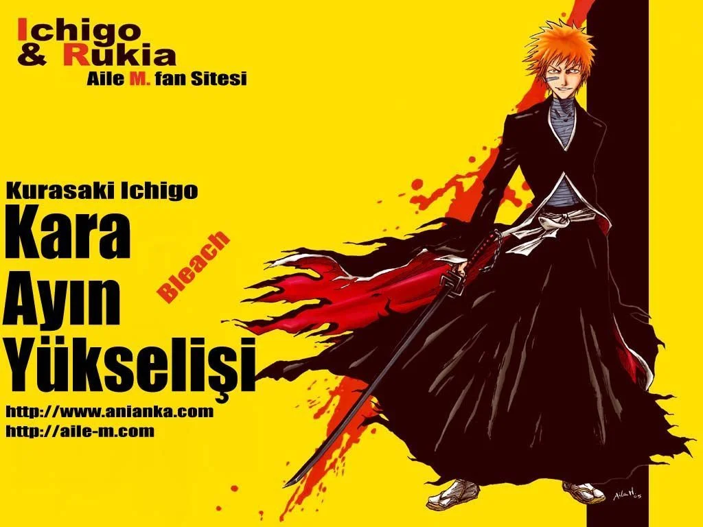 Bleach - Bölüm 162 - Sayfa 17
